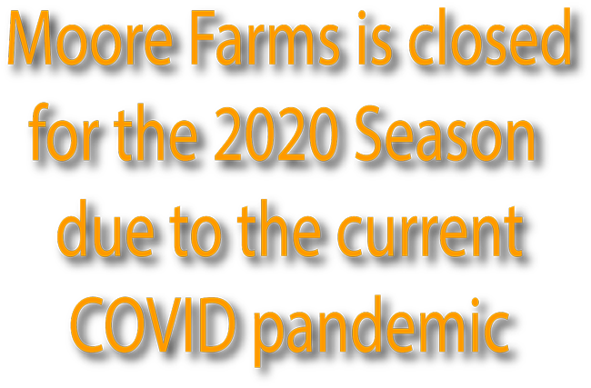 Moore Farms Closed 2020 due to COVID